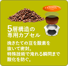 5層構造の専用カプセル