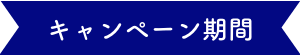 キャンペーン期間