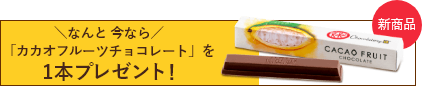 なんと今なら1本プレゼント!