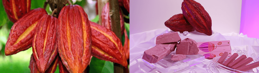What is Ruby?