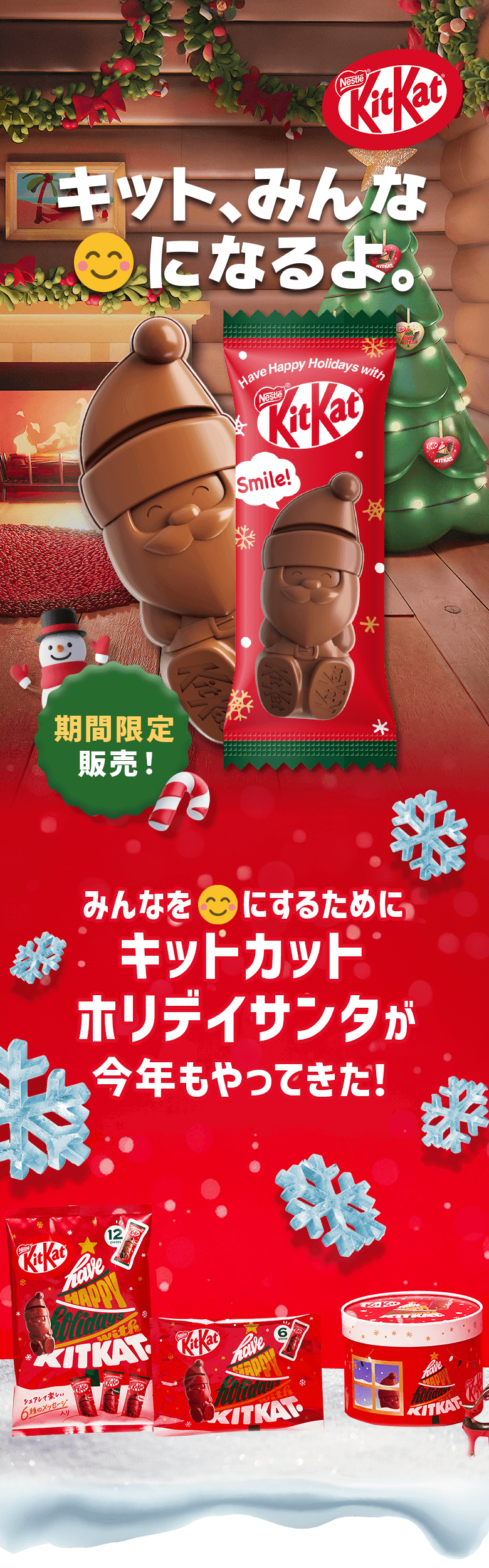 グレートラ猫サンタ＊＊クリスマスアラカルトプレート＊＊ドールハウス　ミニチュア