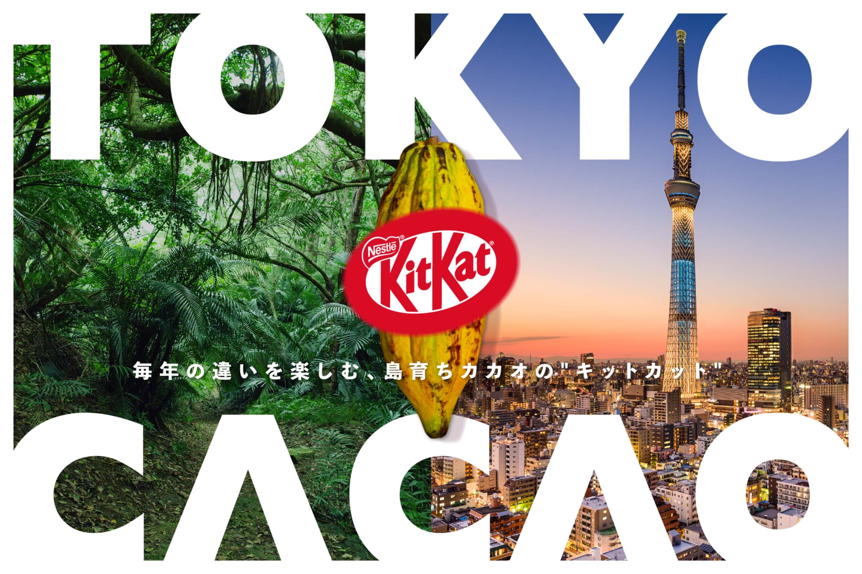 キットカット 東京カカオ