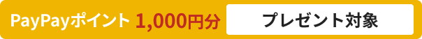 PayPayポイント 1,000円分 プレゼント対象