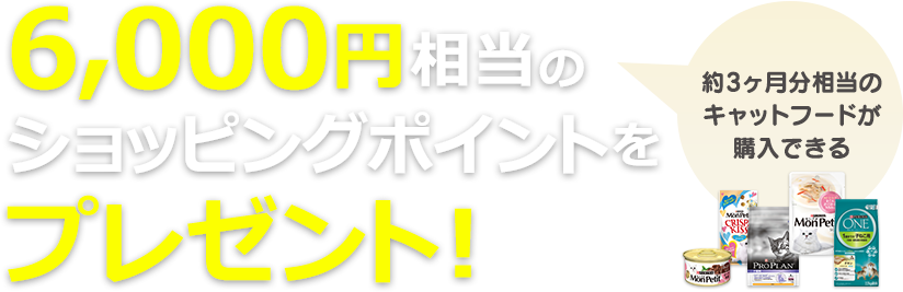 6,000円相当のショッピングポイントをプレゼント!