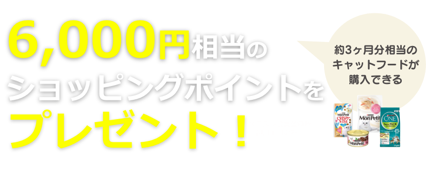 6,000円相当のショッピングポイントをプレゼント!