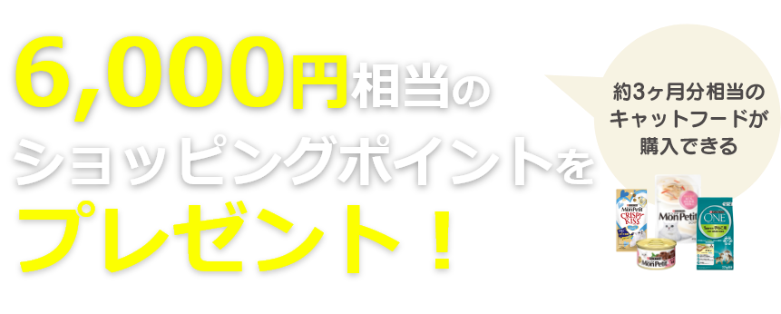 6,000円相当のショッピングポイントをプレゼント!
