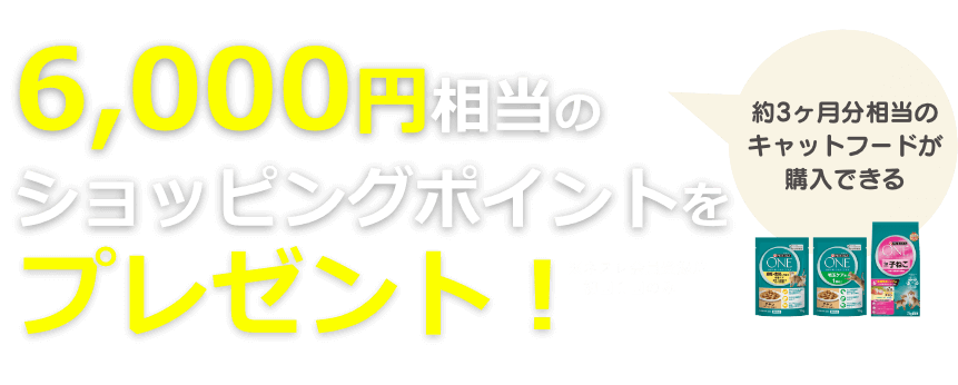6,000円相当のショッピングポイントをプレゼント!