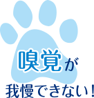 嗅覚が我慢できない!