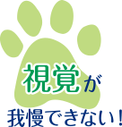 視覚が我慢できない!