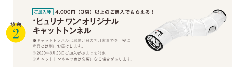 特典2