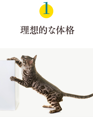 健康6要素1