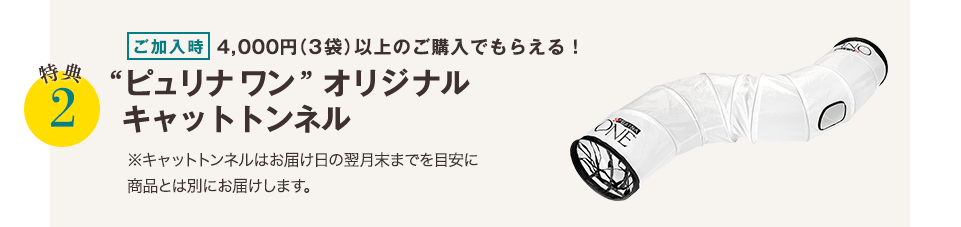 特典2