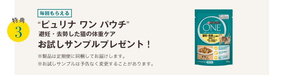 特典3