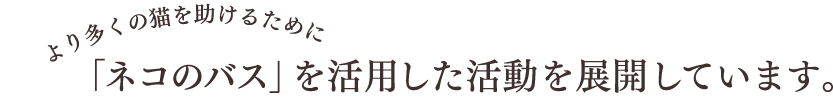 より多くの猫を助けるために「ネコのバス」を活用した活動を展開しています。