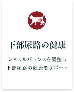 下部尿路の健康
