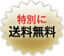 特別に送料無料