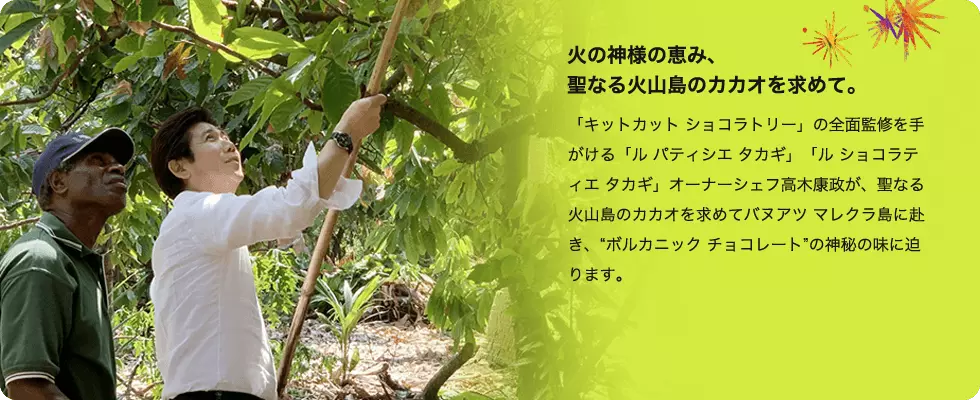 火の神様の恵み、 聖なる火山島のカカオを求めて。