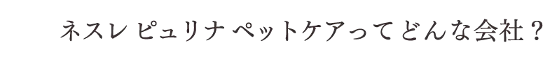 ネスレ ピュリナ ペットケアってどんな会社?