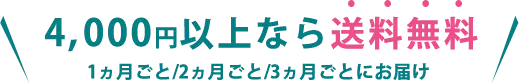 4,000円以上なら送料無料