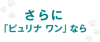 さらに「ピュリナ ワン」なら