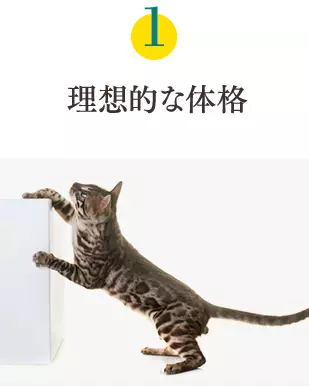健康6要素1