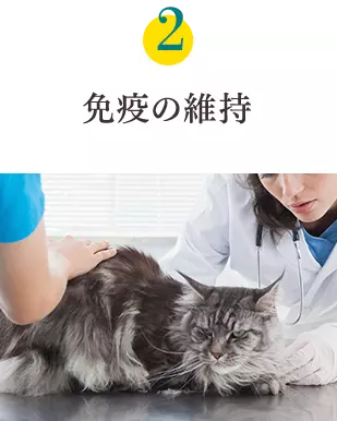 健康6要素2