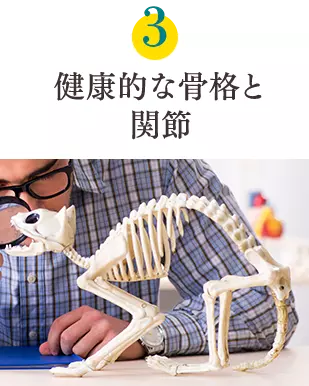 健康6要素3
