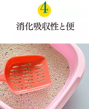 健康6要素4