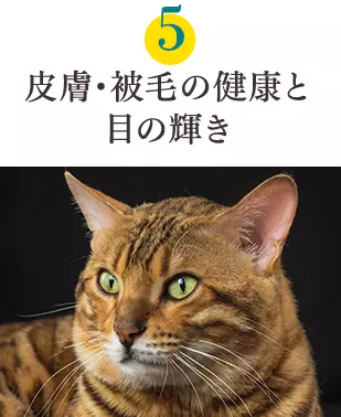 健康6要素5