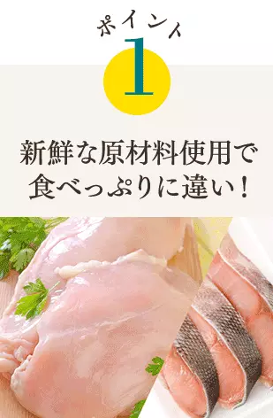ポイント1