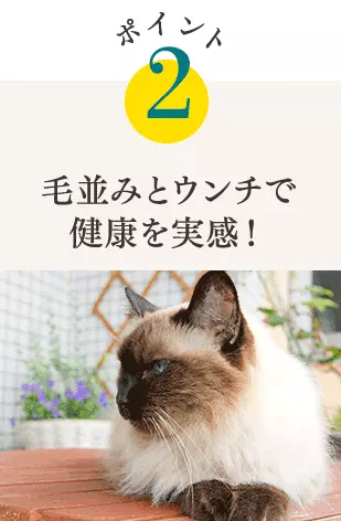 ポイント2