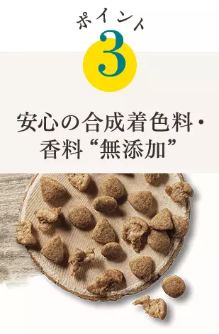 ポイント3