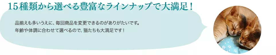 15種類から選べる豊富なラインナップで大満足!